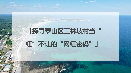 探寻泰山区王林坡村当“红”不让的“网红密码”