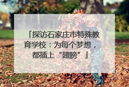 探访石家庄市特殊教育学校：为每个梦想，都插上“翅膀”