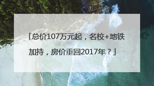 总价107万元起，名校+地铁加持，房价重回2017年？