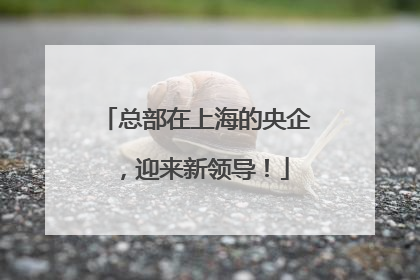 总部在上海的央企，迎来新领导！