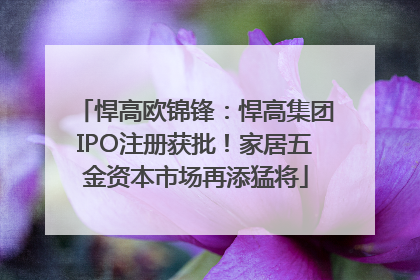 悍高欧锦锋：悍高集团IPO注册获批！家居五金资本市场再添猛将