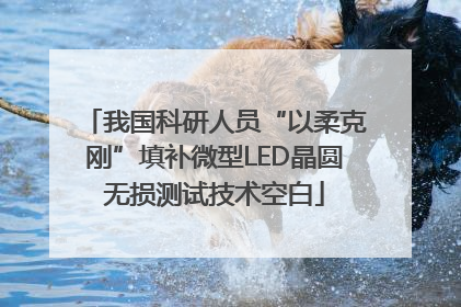 我国科研人员“以柔克刚”填补微型LED晶圆无损测试技术空白