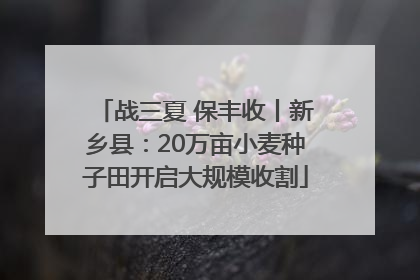 战三夏 保丰收丨新乡县：20万亩小麦种子田开启大规模收割