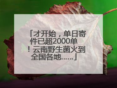 才开始，单日寄件已超2000单！云南野生菌火到全国各地……