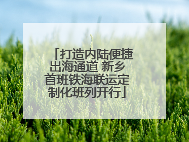 打造内陆便捷出海通道 新乡首班铁海联运定制化班列开行