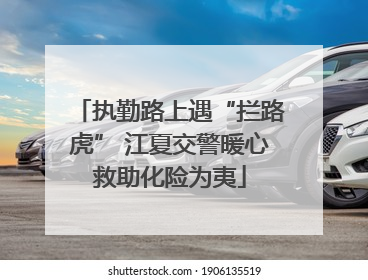 执勤路上遇“拦路虎” 江夏交警暖心救助化险为夷
