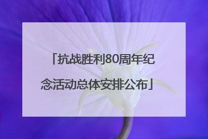 抗战胜利80周年纪念活动总体安排公布