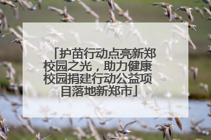 护苗行动点亮新郑校园之光，助力健康校园捐建行动公益项目落地新郑市
