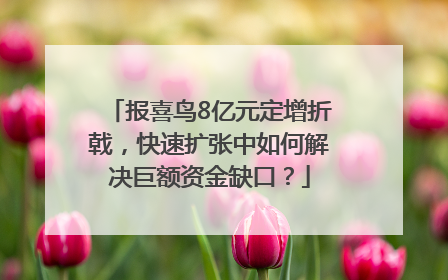 报喜鸟8亿元定增折戟，快速扩张中如何解决巨额资金缺口？