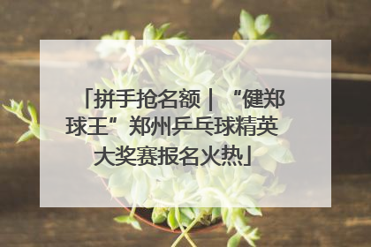 拼手抢名额｜“健郑球王”郑州乒乓球精英大奖赛报名火热