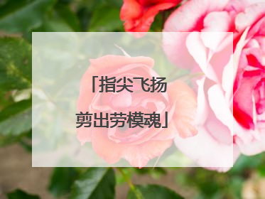 指尖飞扬 剪出劳模魂