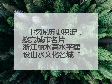 挖掘历史积淀，擦亮城市名片——浙江丽水高水平建设山水文化名城“闯出”创新之路