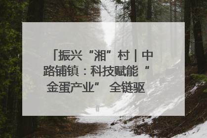 振兴“湘”村｜中路铺镇：科技赋能“金蛋产业” 全链驱动乡村振兴