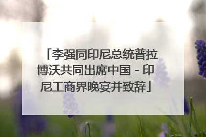 李强同印尼总统普拉博沃共同出席中国－印尼工商界晚宴并致辞