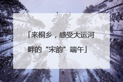 来桐乡，感受大运河畔的“宋韵”端午