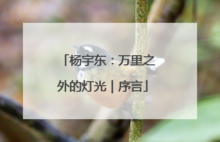 杨宇东：万里之外的灯光｜序言