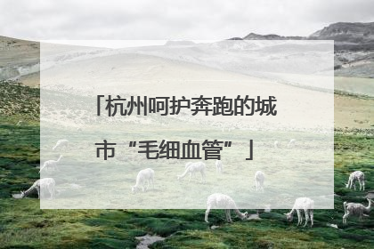 杭州呵护奔跑的城市“毛细血管”