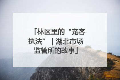 林区里的“宠客执法”｜湖北市场监管所的故事