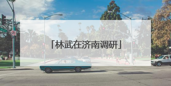 林武在济南调研