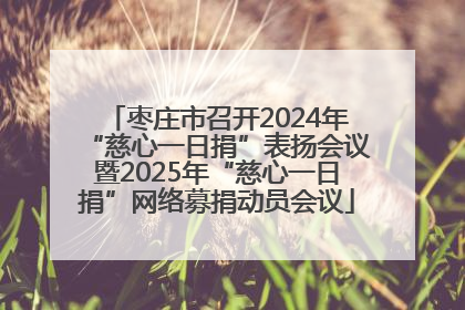 枣庄市召开2024年“慈心一日捐”表扬会议暨2025年“慈心一日捐”网络募捐动员会议