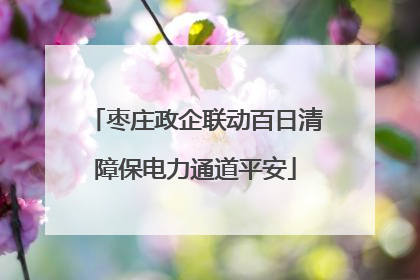枣庄政企联动百日清障保电力通道平安