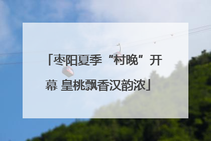 枣阳夏季“村晚”开幕 皇桃飘香汉韵浓