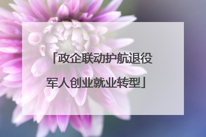 政企联动护航退役军人创业就业转型