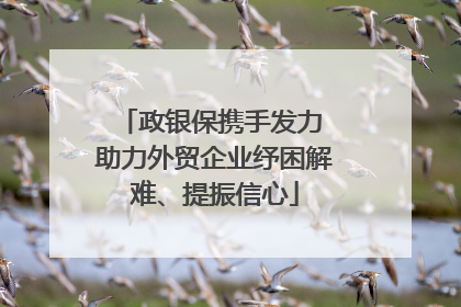 政银保携手发力 助力外贸企业纾困解难、提振信心