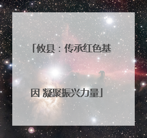 攸县：传承红色基因 凝聚振兴力量