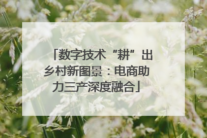 数字技术“耕”出乡村新图景：电商助力三产深度融合