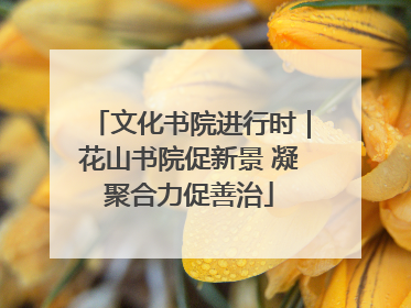 文化书院进行时｜花山书院促新景 凝聚合力促善治
