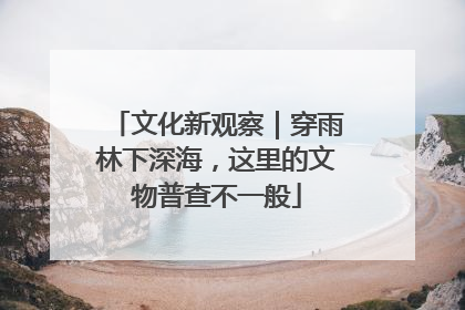 文化新观察｜穿雨林下深海，这里的文物普查不一般
