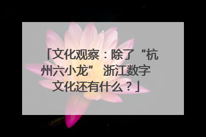 文化观察：除了“杭州六小龙” 浙江数字文化还有什么？
