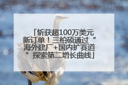 斩获超100万美元新订单！三柏硕通过“海外建厂+国内扩赛道”探索第二增长曲线