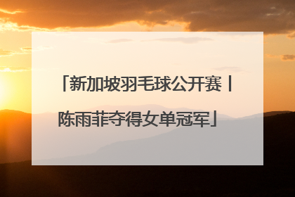 新加坡羽毛球公开赛丨陈雨菲夺得女单冠军
