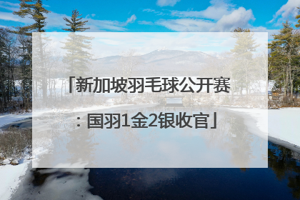 新加坡羽毛球公开赛：国羽1金2银收官