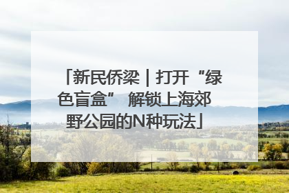 新民侨梁｜打开“绿色盲盒” 解锁上海郊野公园的N种玩法