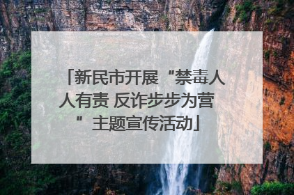 新民市开展“禁毒人人有责 反诈步步为营”主题宣传活动