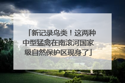 新记录鸟类！这两种中型猛禽在南滚河国家级自然保护区现身了