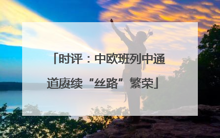 时评：中欧班列中通道赓续“丝路”繁荣