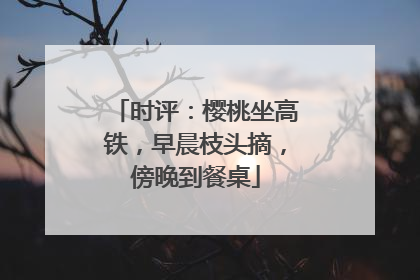 时评：樱桃坐高铁，早晨枝头摘，傍晚到餐桌