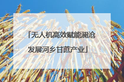 无人机高效赋能澜沧发展河乡甘蔗产业