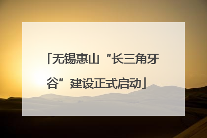 无锡惠山“长三角牙谷”建设正式启动