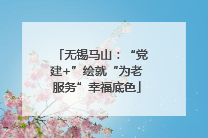 无锡马山：“党建+”绘就“为老服务”幸福底色