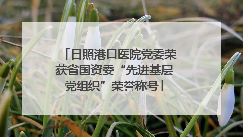 日照港口医院党委荣获省国资委“先进基层党组织”荣誉称号