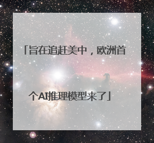旨在追赶美中，欧洲首个AI推理模型来了