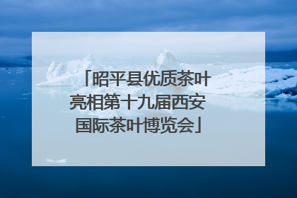 昭平县优质茶叶亮相第十九届西安国际茶叶博览会