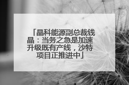 晶科能源副总裁钱晶：当务之急是加速升级既有产线，沙特项目正推进中