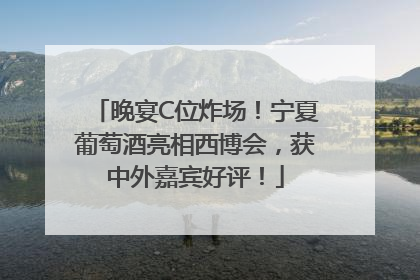 晚宴C位炸场！宁夏葡萄酒亮相西博会，获中外嘉宾好评！