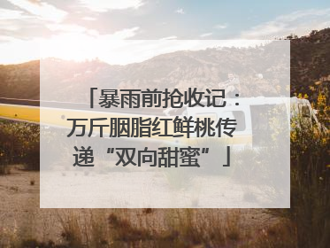 暴雨前抢收记：万斤胭脂红鲜桃传递“双向甜蜜”